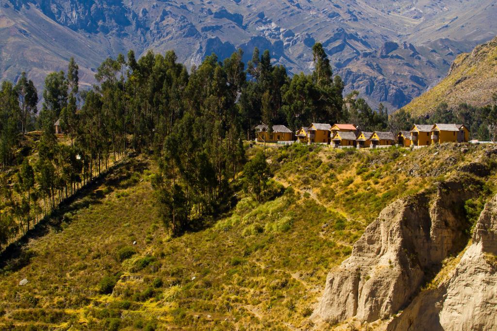 Eco Inn Colca Yanque Kültér fotó