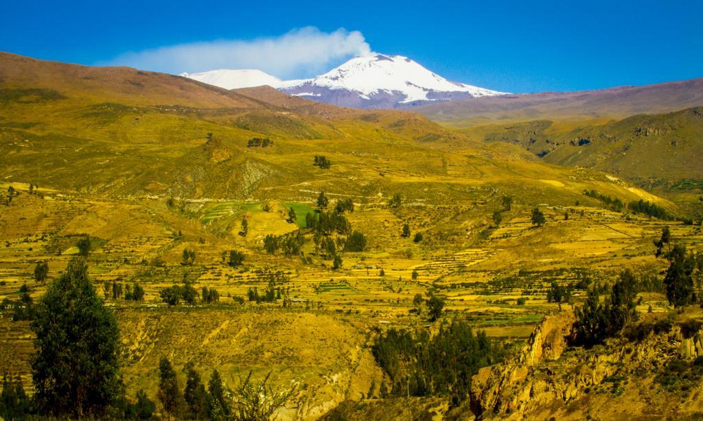 Eco Inn Colca Yanque Kültér fotó