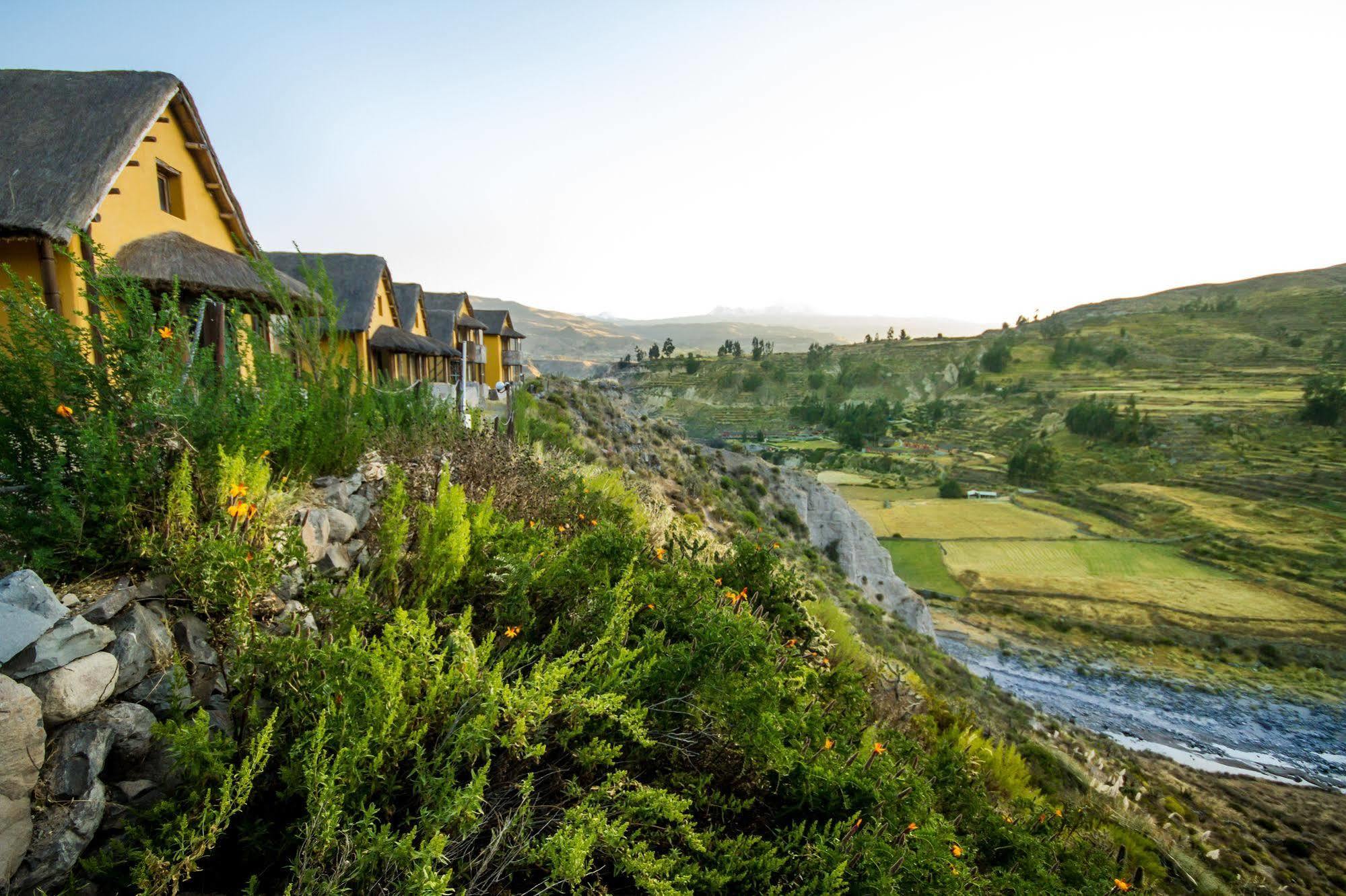 Eco Inn Colca Yanque Kültér fotó